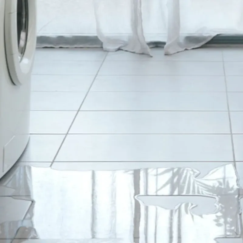 Appliance Leak Cleanup in Carroll County, IL