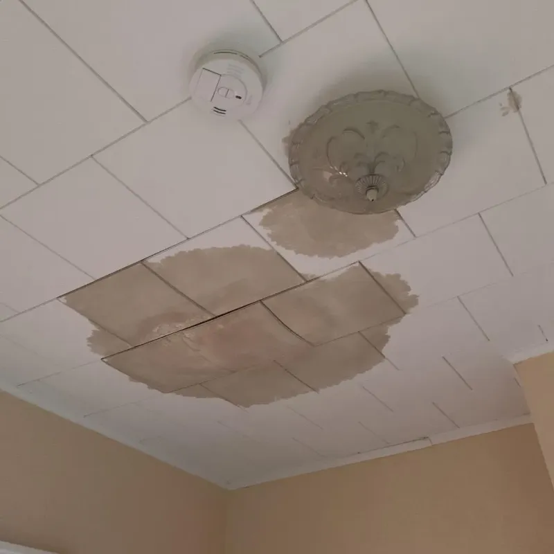Ceiling Water Damage Repair in Carroll County, IL