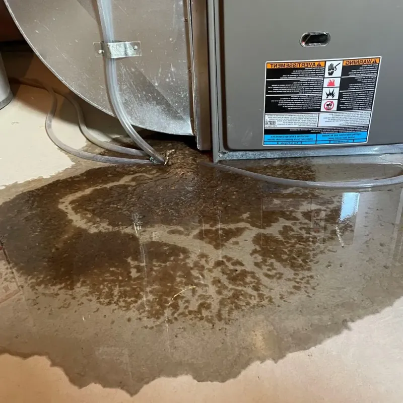 Pipe Burst and Leak Restoration in Carroll County, IL